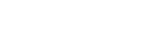 DYLAN SHAPES logo